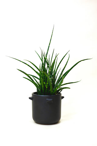 Fischer Pot