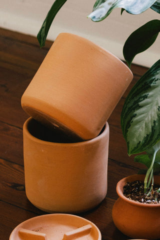 cylinder terracotta plant pots Catania Cylinder Pot – Green Rabbit