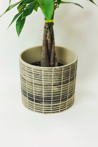 Palette Pot
