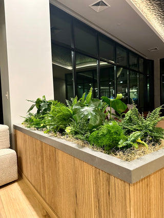 Indoor plant arrangement in a wooden modern planter bed, with greenery in a modern office and lobby setting