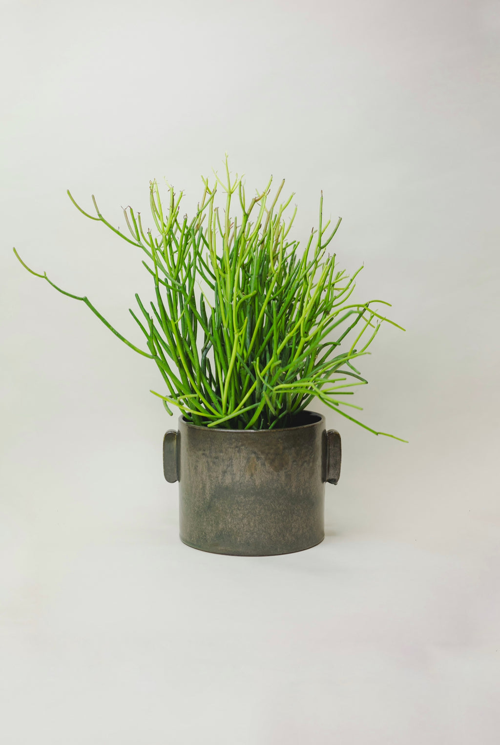 Clark Pot – Green Rabbit