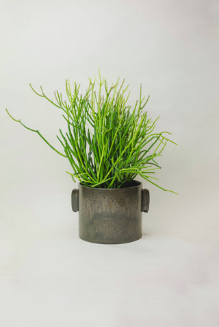 Clark Pot