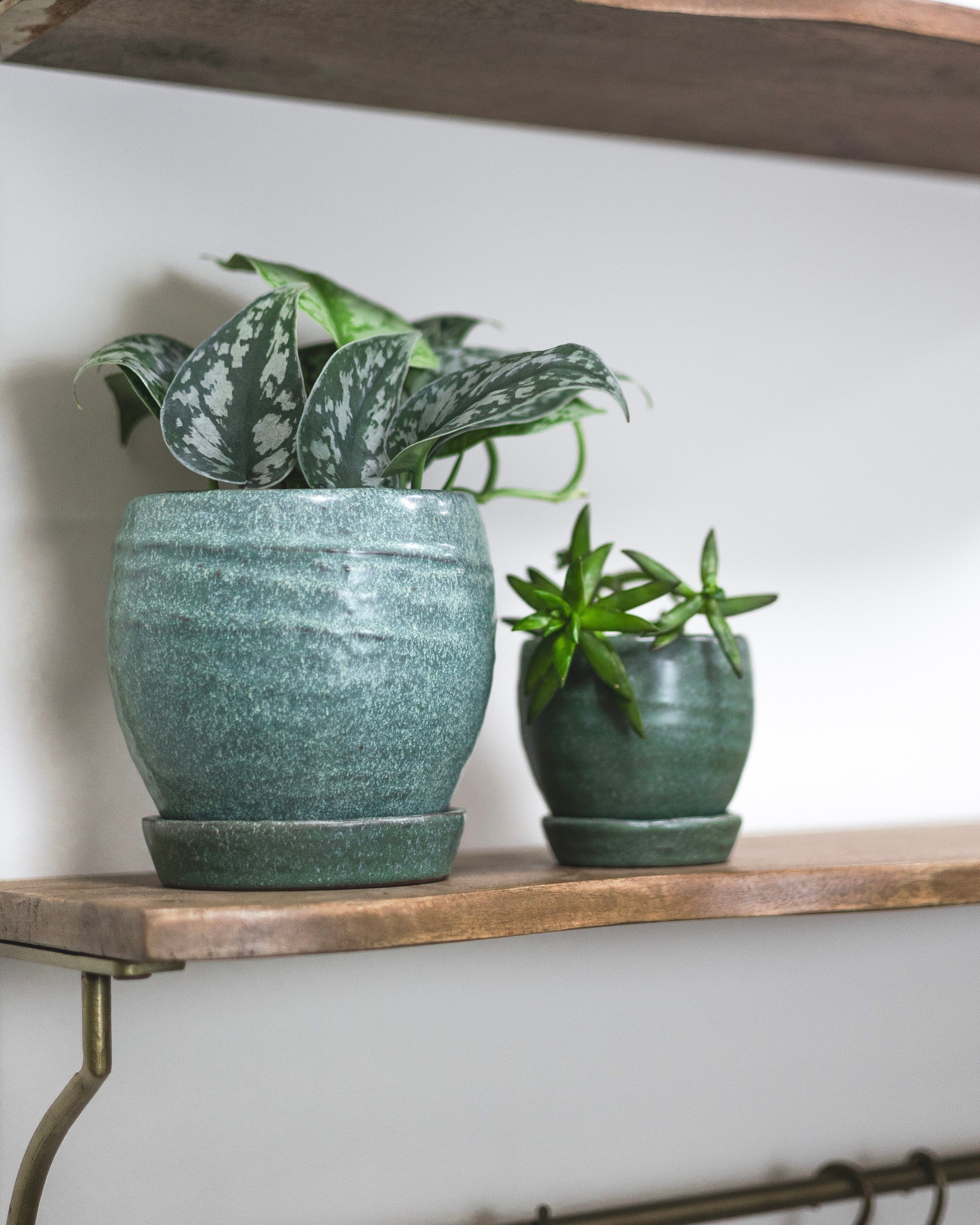 small ceramic pots for indoor plants Bradford Pot with Saucer – Green Rabbit
