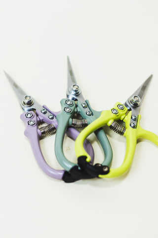 Pruning Shears