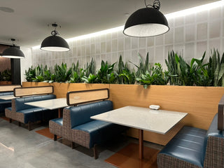 Modern restaurant interior with booths, tables, and decorative, modern interior plants lined against the full length of wall