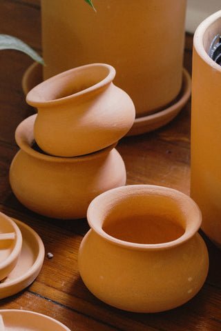 Maya Pot