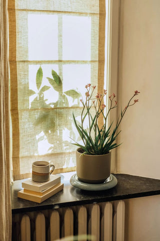 Lily Glazed Saucer