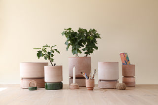 Hoff Raw Pot