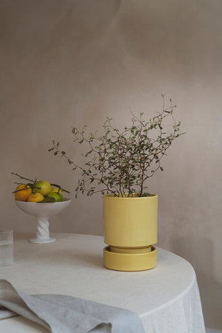 Hoff Glazed Pot