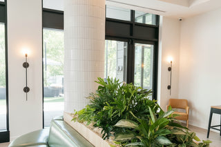Decorative plant arrangement in a modern indoor setting with a light fixture and large window.