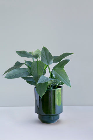 Hoff Glazed Pot