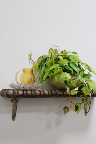 philodendron brasil indoor Philodendron Brasil – Green Rabbit