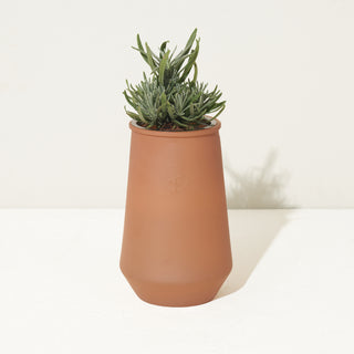 Tapered Tumbler - Lavender