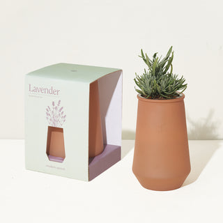 Tapered Tumbler - Lavender