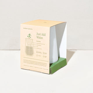 Tapered Tumbler - Mint