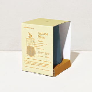 Tapered Tumbler - Eucalyptus