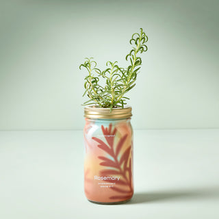 Herb Garden Jar