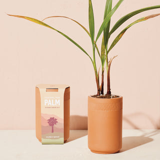 Terracotta Kit - Palm