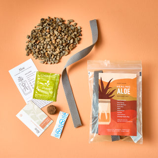 Terracotta Kit - Aloe