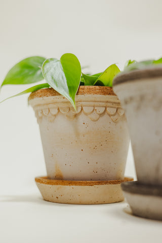 Castle Pot