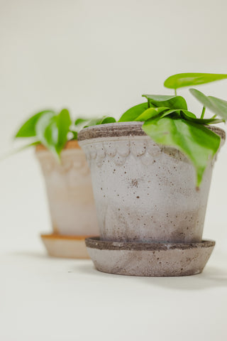 Castle Pot
