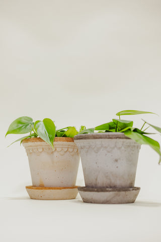 Castle Pot