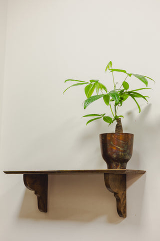 Money Tree